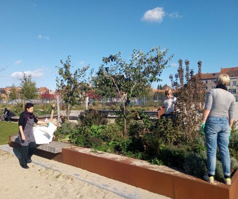 Ecosystemische benadering